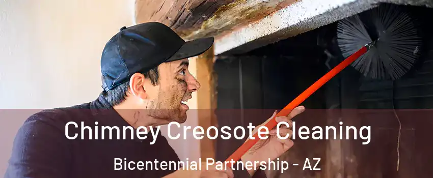 Chimney Creosote Cleaning Bicentennial Partnership - AZ