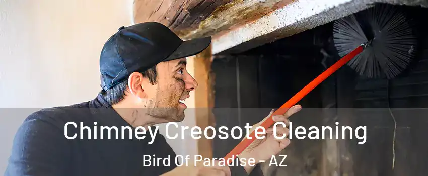 Chimney Creosote Cleaning Bird Of Paradise - AZ