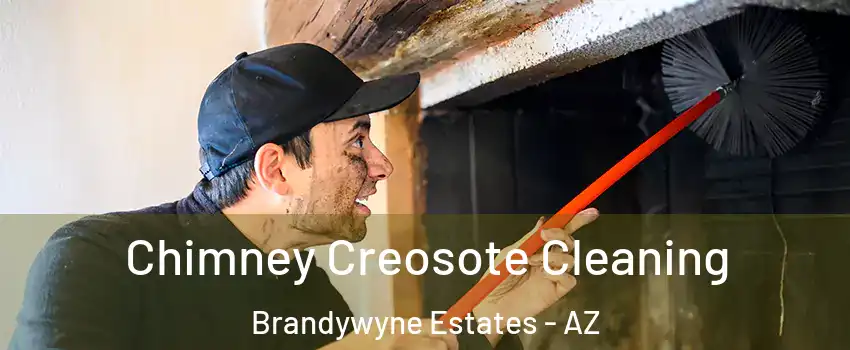 Chimney Creosote Cleaning Brandywyne Estates - AZ