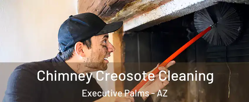 Chimney Creosote Cleaning Executive Palms - AZ