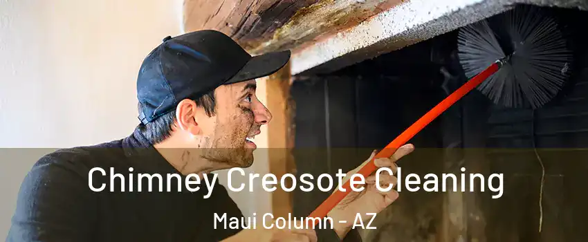 Chimney Creosote Cleaning Maui Column - AZ