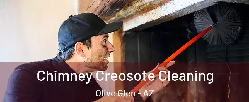Chimney Creosote Cleaning Olive Glen - AZ