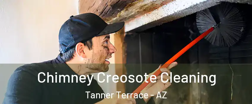 Chimney Creosote Cleaning Tanner Terrace - AZ