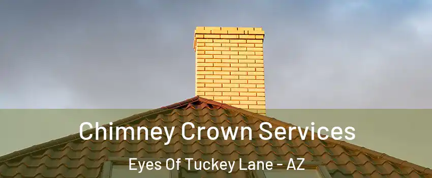Chimney Crown Services Eyes Of Tuckey Lane - AZ