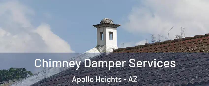 Chimney Damper Services Apollo Heights - AZ