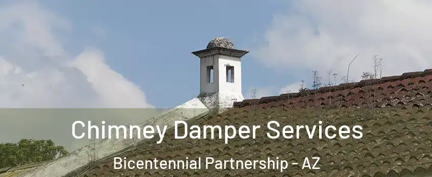 Chimney Damper Services Bicentennial Partnership - AZ
