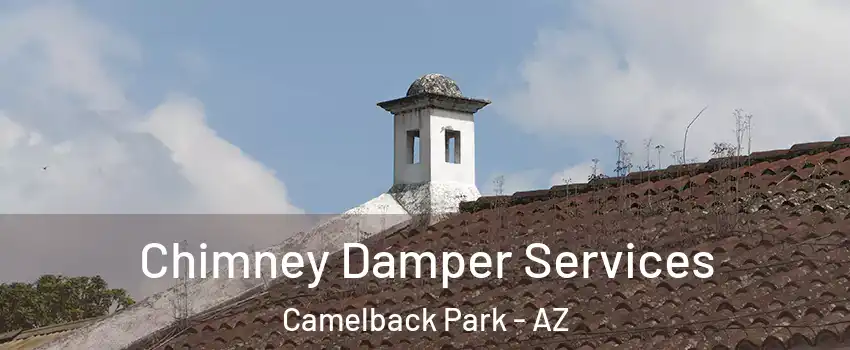 Chimney Damper Services Camelback Park - AZ