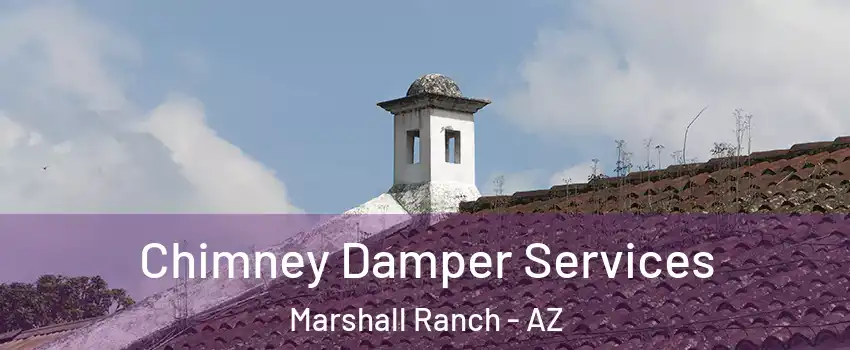 Chimney Damper Services Marshall Ranch - AZ