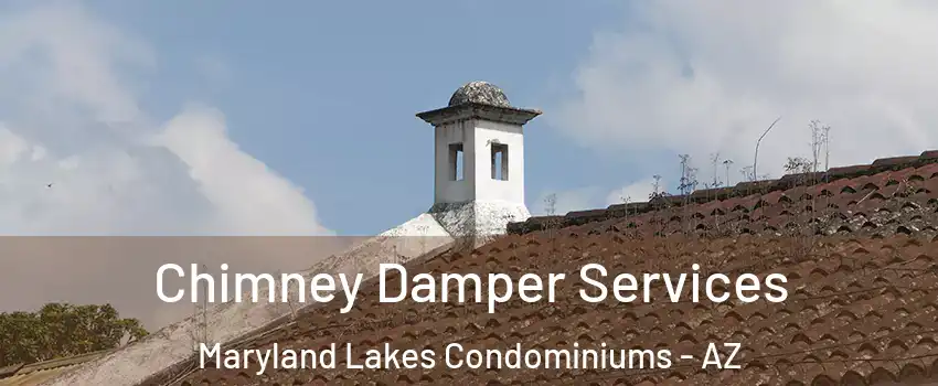 Chimney Damper Services Maryland Lakes Condominiums - AZ