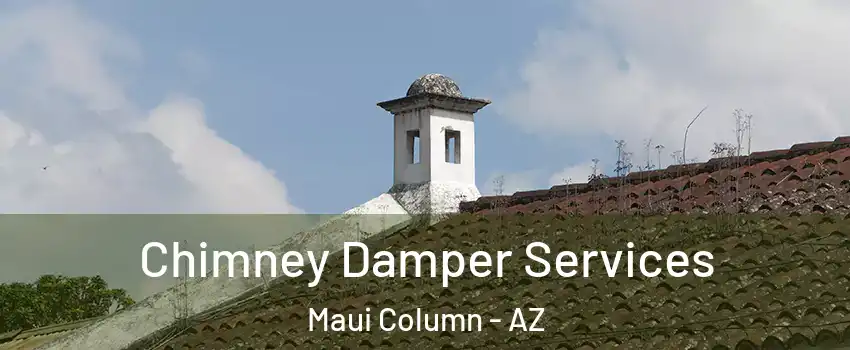 Chimney Damper Services Maui Column - AZ