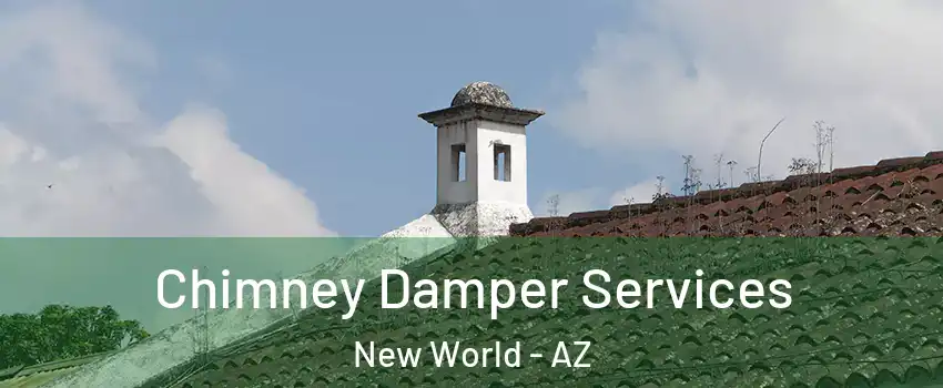 Chimney Damper Services New World - AZ