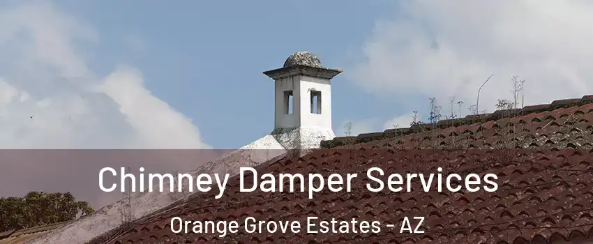 Chimney Damper Services Orange Grove Estates - AZ