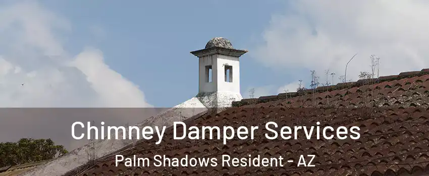 Chimney Damper Services Palm Shadows Resident - AZ