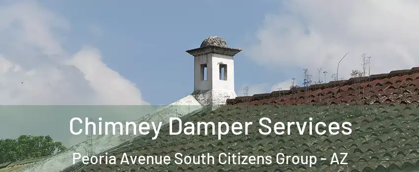 Chimney Damper Services Peoria Avenue South Citizens Group - AZ