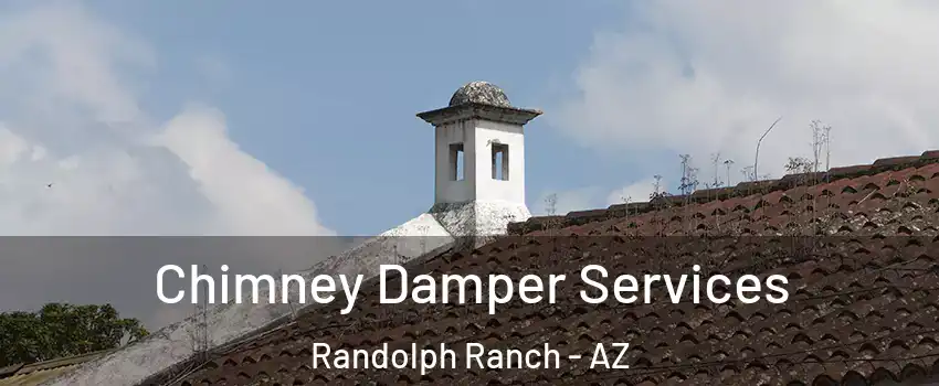 Chimney Damper Services Randolph Ranch - AZ
