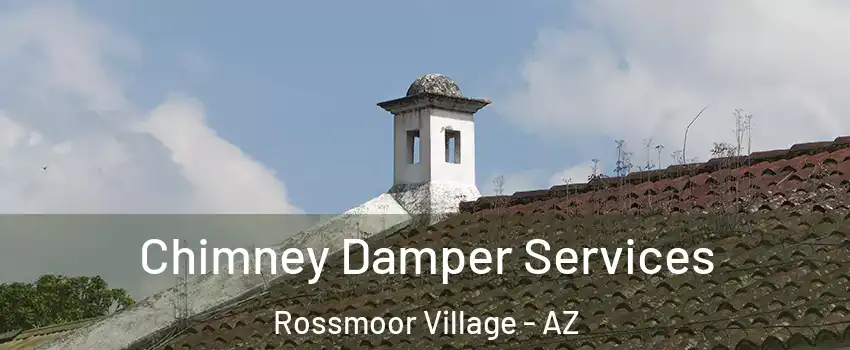 Chimney Damper Services Rossmoor Village - AZ