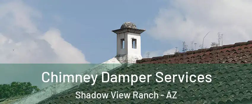 Chimney Damper Services Shadow View Ranch - AZ