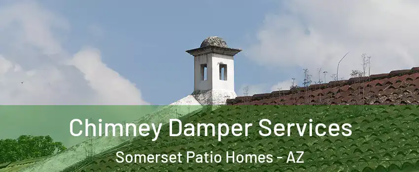 Chimney Damper Services Somerset Patio Homes - AZ