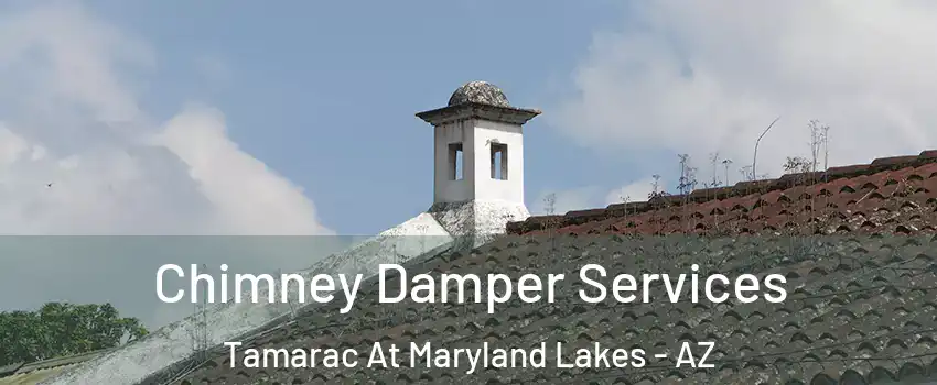Chimney Damper Services Tamarac At Maryland Lakes - AZ