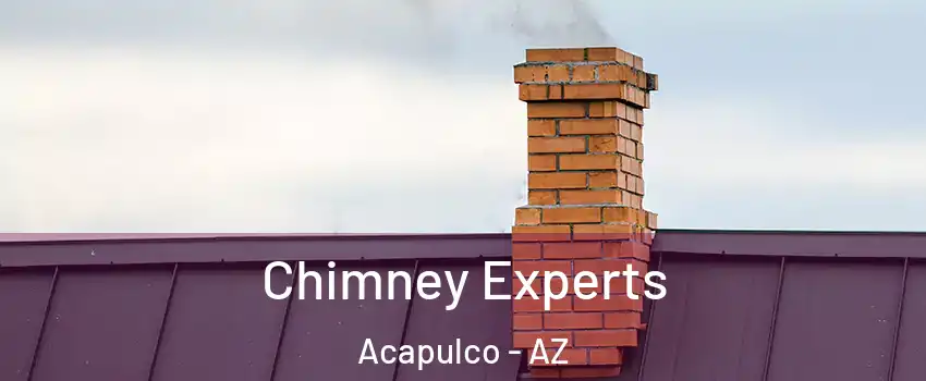 Chimney Experts Acapulco - AZ