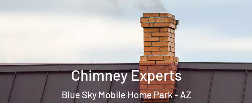 Chimney Experts Blue Sky Mobile Home Park - AZ