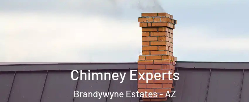 Chimney Experts Brandywyne Estates - AZ