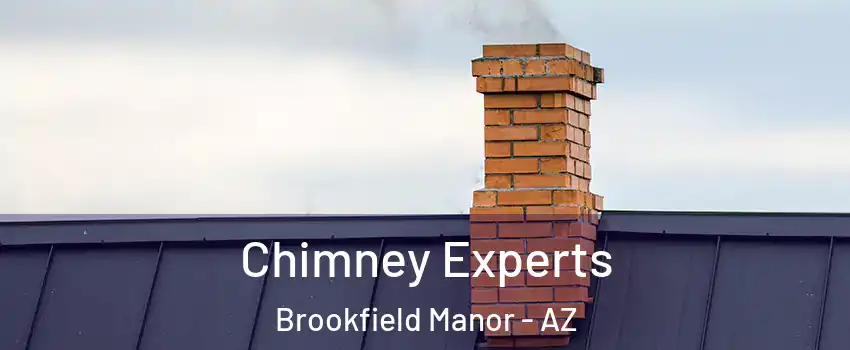 Chimney Experts Brookfield Manor - AZ