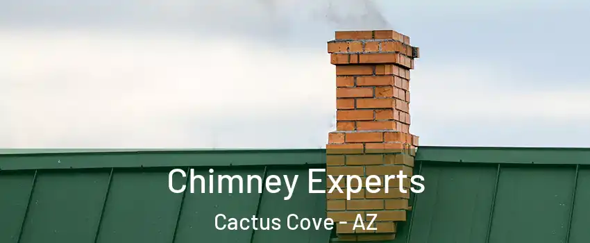Chimney Experts Cactus Cove - AZ
