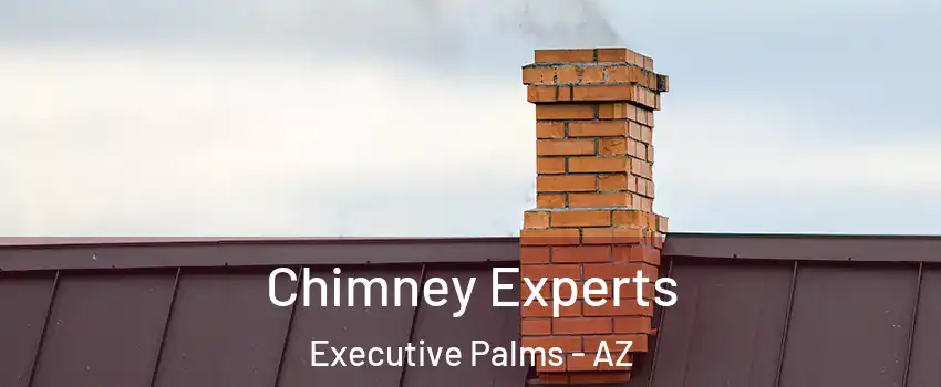 Chimney Experts Executive Palms - AZ