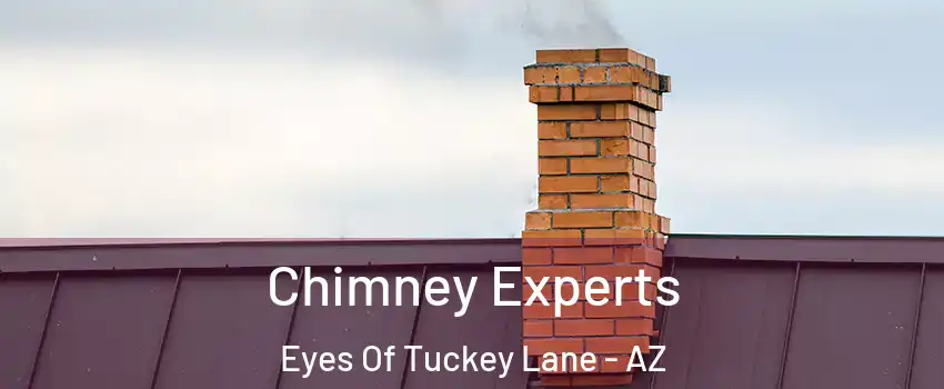 Chimney Experts Eyes Of Tuckey Lane - AZ
