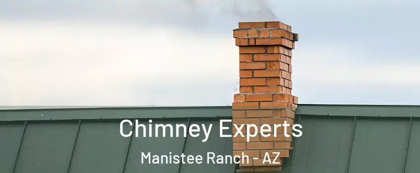 Chimney Experts Manistee Ranch - AZ
