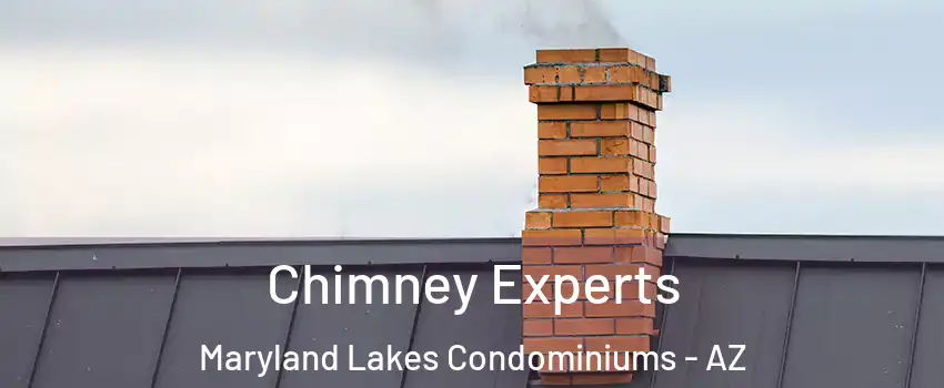 Chimney Experts Maryland Lakes Condominiums - AZ