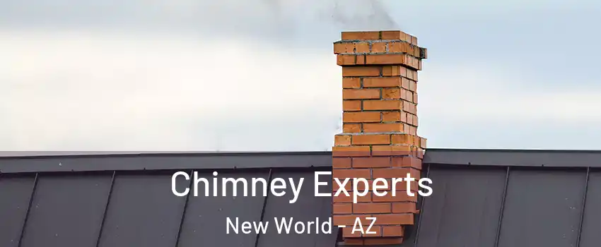 Chimney Experts New World - AZ