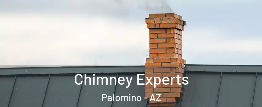 Chimney Experts Palomino - AZ