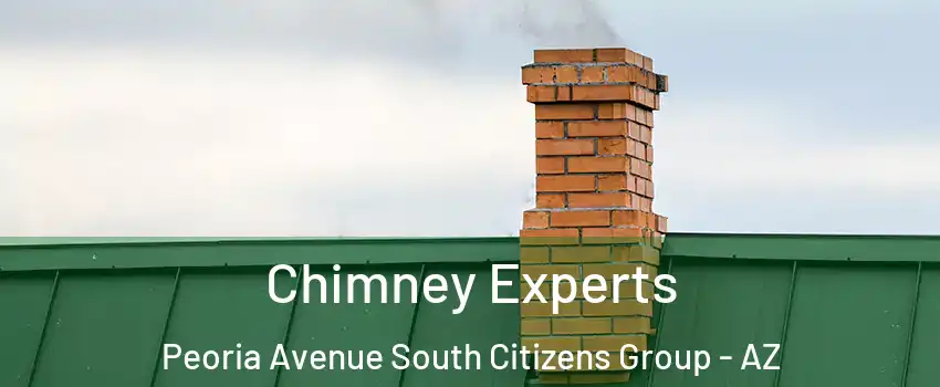 Chimney Experts Peoria Avenue South Citizens Group - AZ