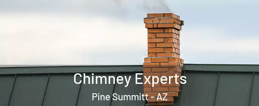 Chimney Experts Pine Summitt - AZ