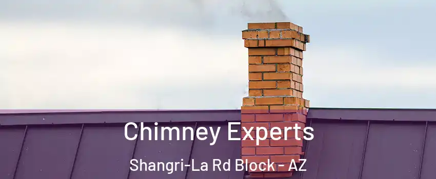 Chimney Experts Shangri-La Rd Block - AZ