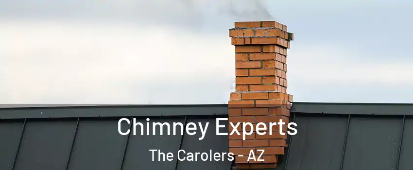 Chimney Experts The Carolers - AZ