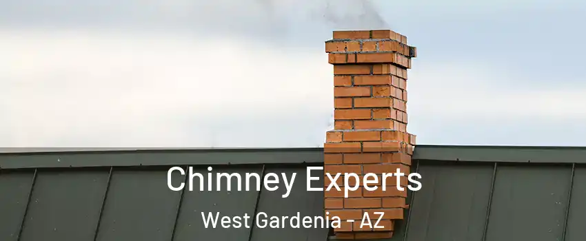 Chimney Experts West Gardenia - AZ