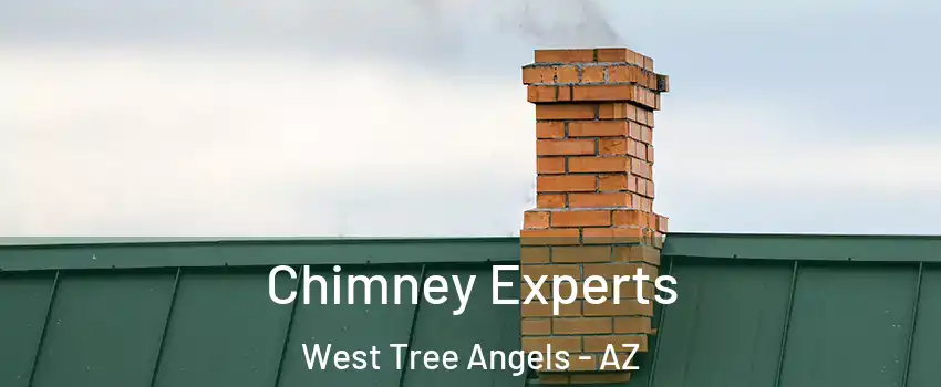 Chimney Experts West Tree Angels - AZ