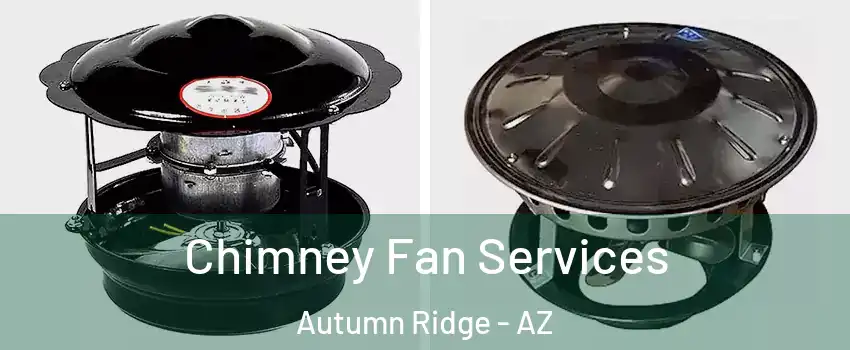 Chimney Fan Services Autumn Ridge - AZ