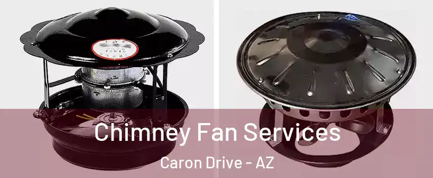 Chimney Fan Services Caron Drive - AZ