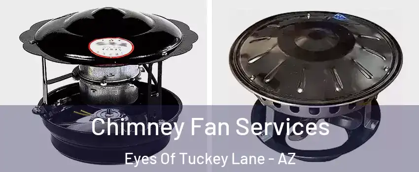 Chimney Fan Services Eyes Of Tuckey Lane - AZ