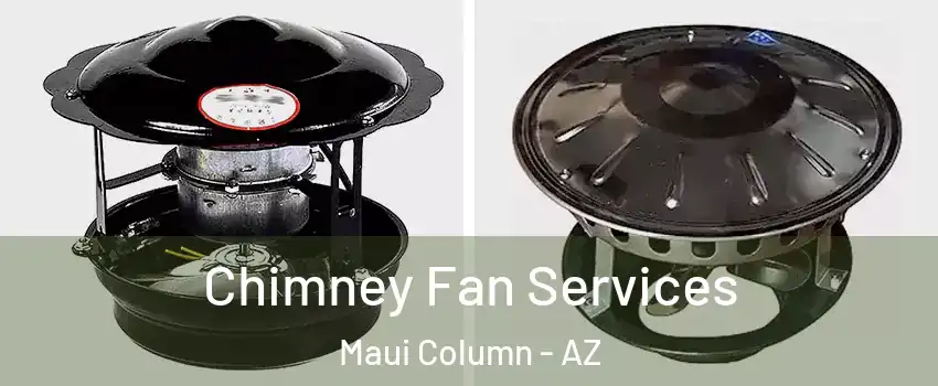 Chimney Fan Services Maui Column - AZ