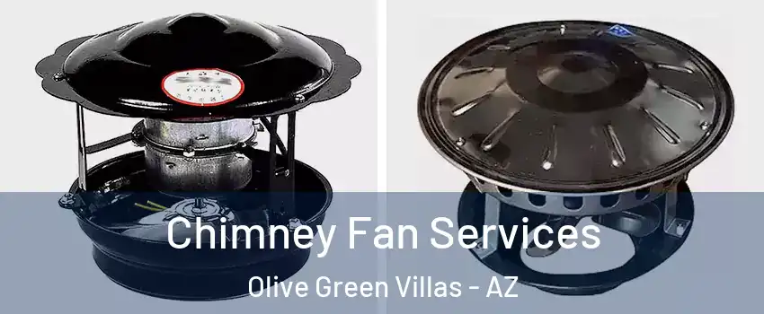 Chimney Fan Services Olive Green Villas - AZ