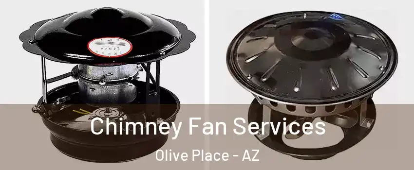 Chimney Fan Services Olive Place - AZ