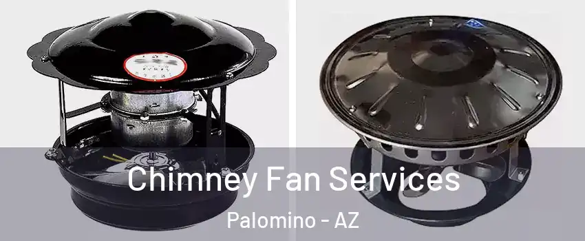 Chimney Fan Services Palomino - AZ