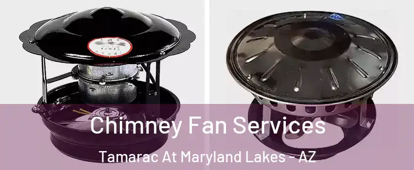 Chimney Fan Services Tamarac At Maryland Lakes - AZ