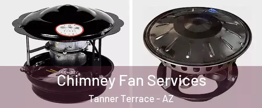 Chimney Fan Services Tanner Terrace - AZ