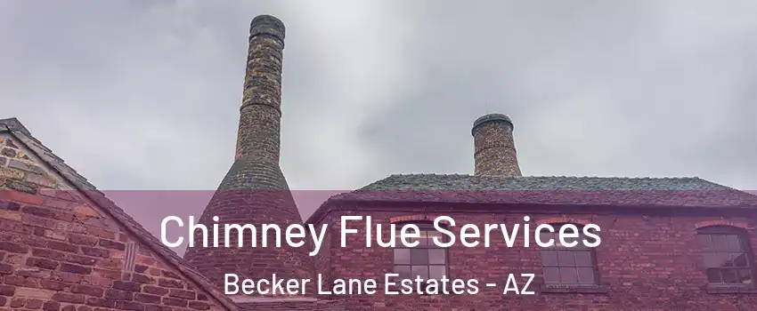 Chimney Flue Services Becker Lane Estates - AZ